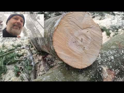 Splitting hammer tips / How to split logs more easily | Wood splitting trick | 4K