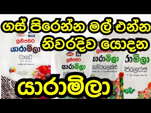 How to use Yaramila fertilizer #yaramila #fertilizer #easy #pohora #howto #garden #tips #tricks