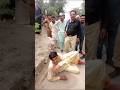 Sindh Police Zindabad Karachi Police Zindab Good Work Well Done