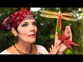 Dragonfly Visits FOR 18 DAYS And I Petted Him