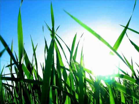 Mai avem nevoie si de iarba.mp4