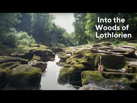 Dave Bainbridge and Dave Brons - INTO the WOODS of LOTHLORIEN