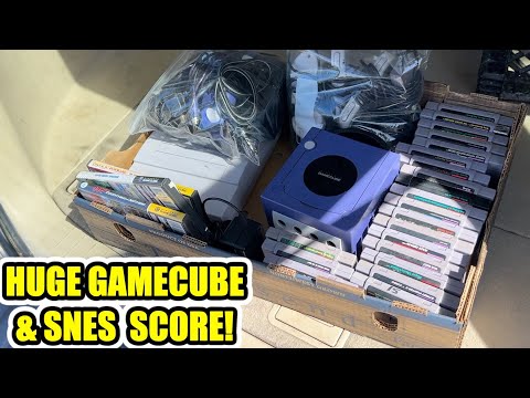 I bought a CHILDHOOD COLLECTION!! / Live Video Game Hunting