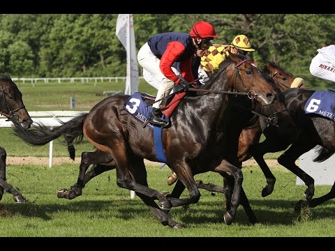 Frankfurt: Preis der Frankfurter Trainingszentrale (D) - Siegerin: Cassilero