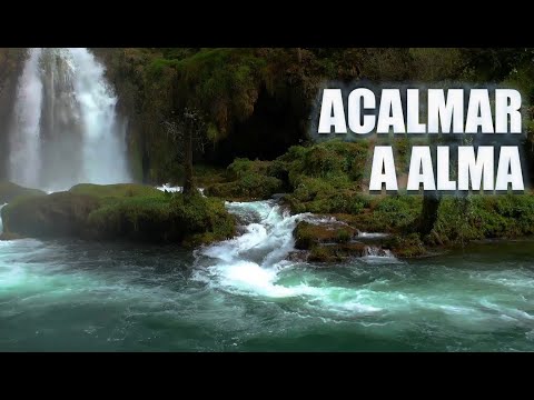 Para tranquilizar a mente - PAZ INTERIOR