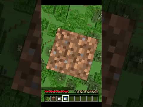 Minecraft 1.19 tips for beginners