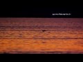If You Go Away - Patricia Kaas 