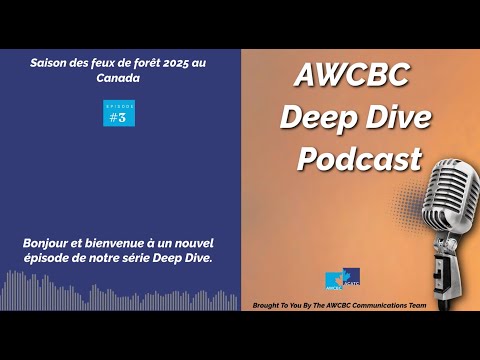 Impact de la saison des feux de forêt de 2025 au Canada sur l’indemnisation des travailleurs