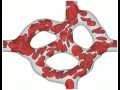 Simulation Of Red Blood Cells In Retina Capillary