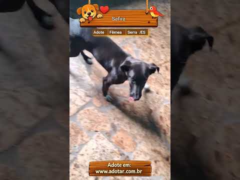 Vídeo de Safira