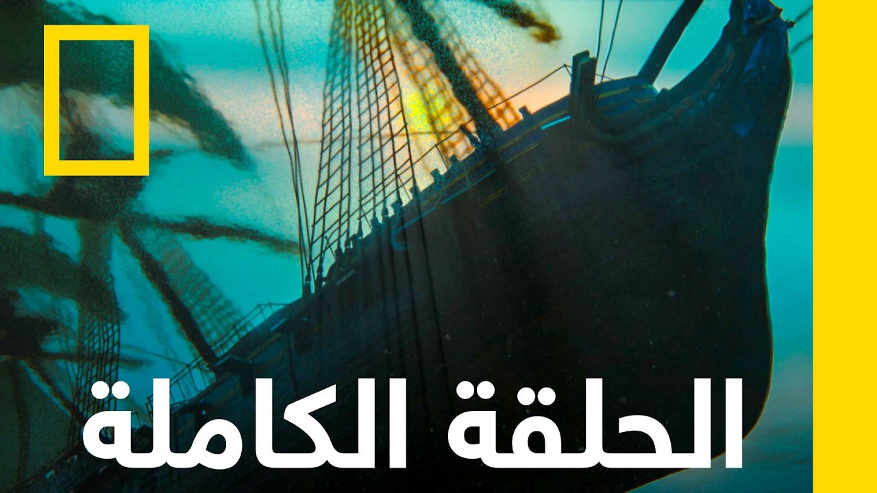 شعب الحاجز العظيم المرجانية | اكتشاف عالم المحيطات | ناشونال جيوغرافيك أبوظبي