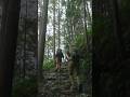 Hiking Japan's Ancient Kumano Kodo Kohechi #shorts #cinematichike #travel #hikingjapan