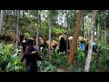 Rohingya Fleeing Myanmar For Lives UN Says 3 000 Left