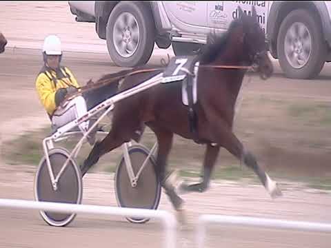 Trotto 10/02/2019 - 1ª corsa