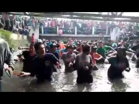 new pallapa live jombang emang joss