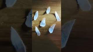 Download lagu Oh Klahoma- Jack Stauber mp3