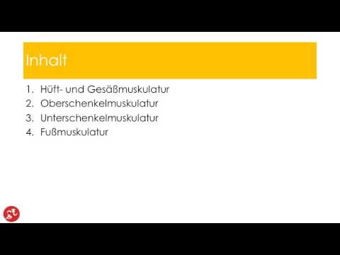 Einteilung untere Extremität