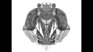 Jasper Wolff & Maarten Mittendorff - Trica