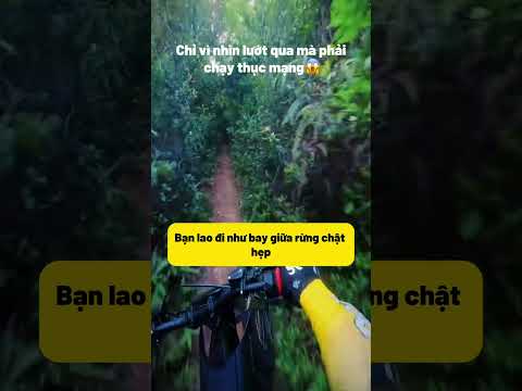 Lần chạy xe nhanh nhất đời vì một thứ trong bụi cỏ🐍