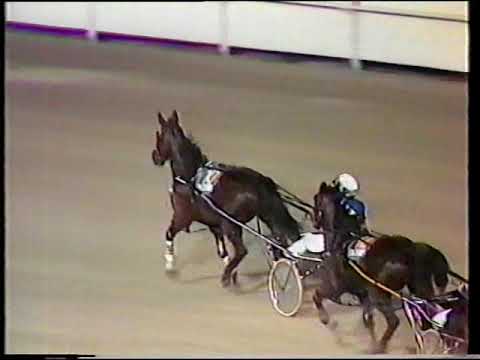 1986 Interdominion Final Peter Smith