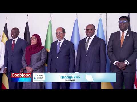 Madaxweyne Xasan Sheekh Maxamuud oo shirka 25aad EAC ku soo bandhigay guusha DFS ay ka gaartay...