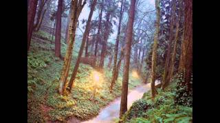 Shlohmo - Just Us (chopped and slowed)