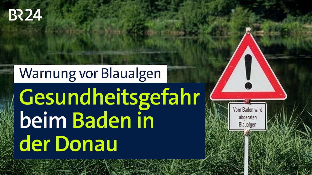 Donau: Untersuchungsergebnis zu Blaualgenverdacht | BR24