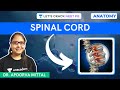 Anatomy | Spinal Cord | NEET PG 2021 | Dr. Apoorva Mittal
