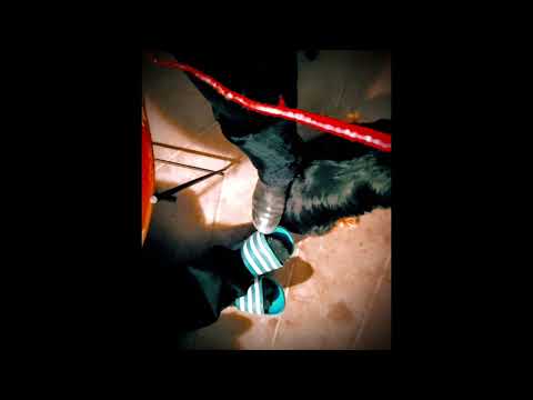 1-13 New Sample BW VIENS LePoilu2Pézenas