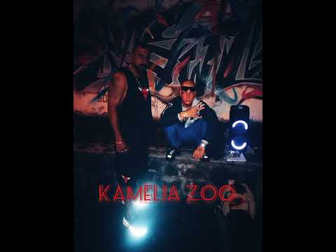 TI LK x VALENTINIK - Allo la terre  (audio Officiel) Prod llouis