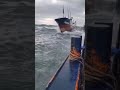Ships Water Swimming Shorts