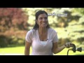 Mighty Blaster As Seen On TV NEW