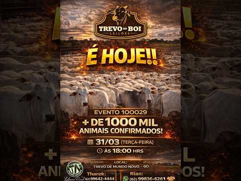 3º LEILÃO TREVO DO BOI LEILOES 31/03/2026 - MUNDO NOVO-GO