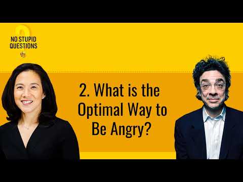 2. What is the Optimal Way to Be Angry? | No Stupid Questions
