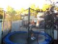 Johnny's Trampoline.