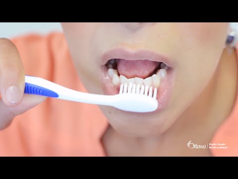 Comment se brosser les dents