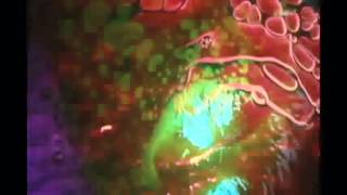 Quicksilver, Back Door man