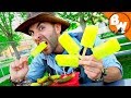 Pickle Pop Challenge New World Record