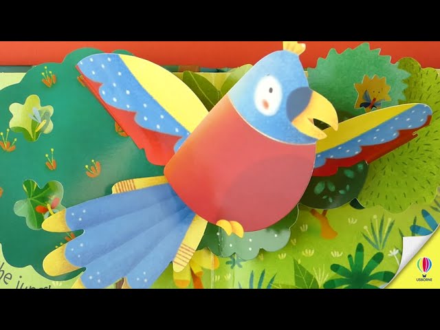 كتاب الغابة ثلاثي الابعاد "Pop-Up Jungle"