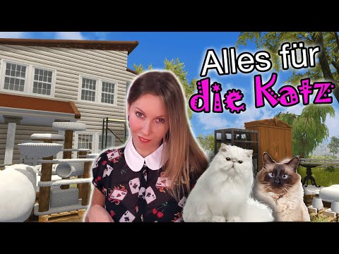 Für die KATZEN nur das BESTE 🐱 Profi am Werk 🎨 House Flipper PETS deutsch 🏠 Folge 19