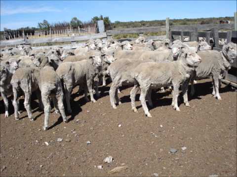 Hugo Gimenez Aguero - El ultimo arriero