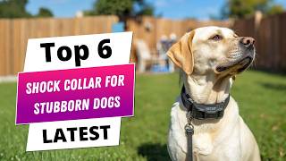 ✅ Best shock collar for stubborn dogs: Shock collar for stubborn dogs (Buying Guide)