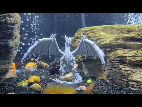 My ender 3 v3 k3 test print.