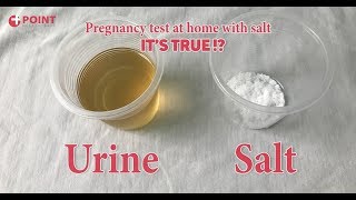 Pregnancy Test At Home | Home Pregnancy Test With Salt | It