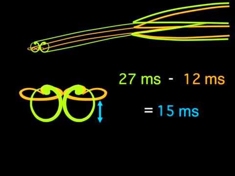 A Hummingbird's Tongue Works as a Micropump