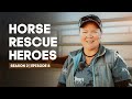 Horse Rescue Heroes | Season 2 | Episode 8 | Soaring Success