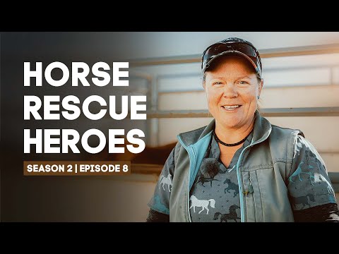 Horse Rescue Heroes | Season 2 | Episode 8 | Soaring Success