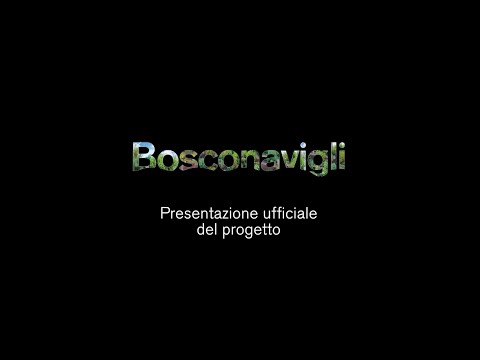 video5
