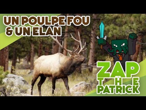 Zap The Patrick - Un Poulpe Fou & Un Elan