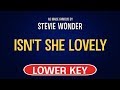 Stevie Wonder - Isn't She Lovely | Karaoke Lower Key